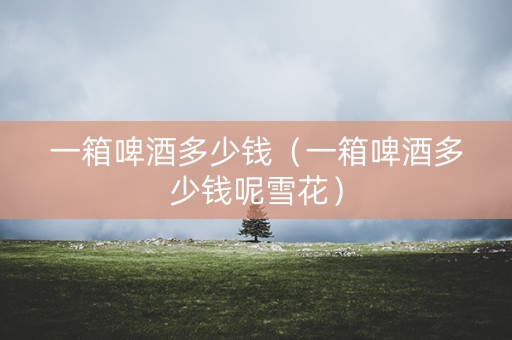 一箱啤酒多少钱（一箱啤酒多少钱呢雪花）