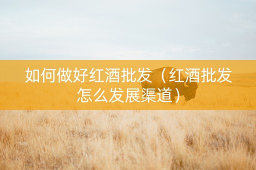 如何做好红酒批发（红酒批发怎么发展渠道）