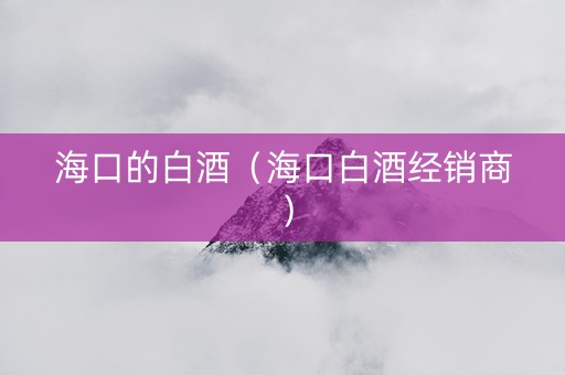 海口的白酒（海口白酒经销商）