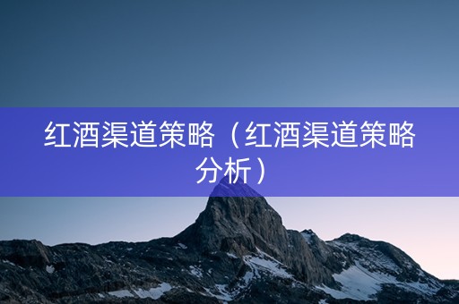 红酒渠道策略（红酒渠道策略分析）
