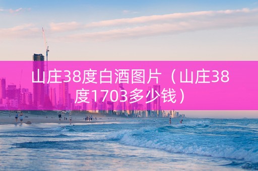 山庄38度白酒图片（山庄38度1703多少钱）