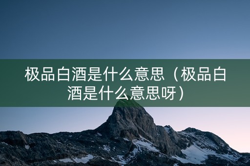 极品白酒是什么意思（极品白酒是什么意思呀）