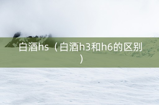 白酒hs（白酒h3和h6的区别）