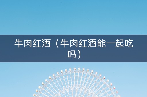 牛肉红酒（牛肉红酒能一起吃吗）