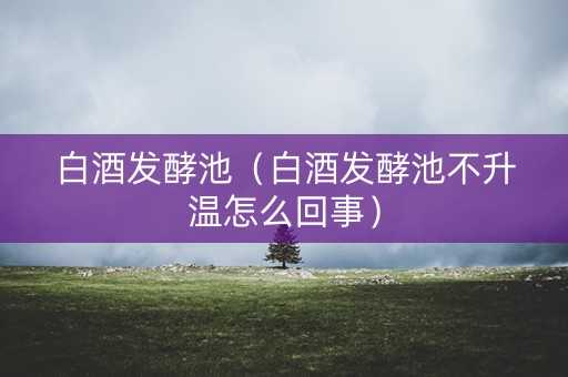 白酒发酵池（白酒发酵池不升温怎么回事）