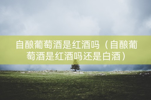 自酿葡萄酒是红酒吗（自酿葡萄酒是红酒吗还是白酒）