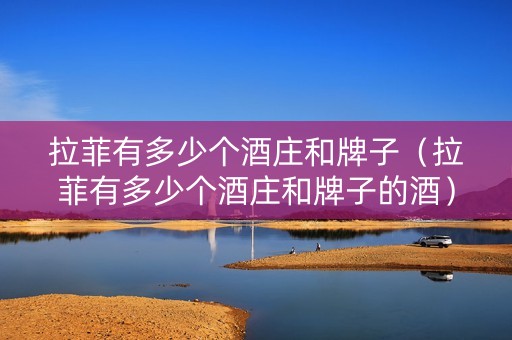 拉菲有多少个酒庄和牌子（拉菲有多少个酒庄和牌子的酒）
