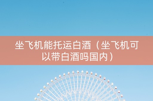 坐飞机能托运白酒（坐飞机可以带白酒吗国内）