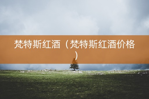 梵特斯红酒（梵特斯红酒价格）